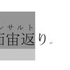 ルビと親文字の距離を調整するFunction(Word)