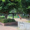 鷺沼児童公園～つくば市とその周辺の風景写真案内（８２８）