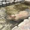 初めてのハーフマラソン大会〜小布施見にマラソン　その3