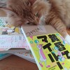 「黄昏てマイルーム」を読んで。