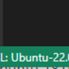 WSLのUbuntu 22.04でVS Codeを動かす