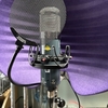 Chandler LTD. TG Microphone コンデンサーマイク