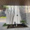 【施工中】横浜市／植栽工事
