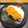 信州・黒カレーを堪能・12,16