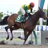 競馬初心者必見☆馬券予想🔥〜平安S〜テーオーケインズが取りこぼす可能性はあるのか！？