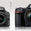 D500 vs. D3300