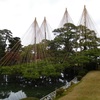 旅行：金沢・高山に行ってきました2（兼六園）