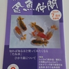 金魚の一匹飼いを卒業すべく