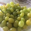 カリフォルニアでむちゃくちゃ流行っていて、すぐに売り切れているもの