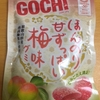 すっぺぇ～　明治　GOCHIグミ　ほんのり甘ずっぱい梅味グミ