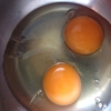 赤卵と白卵