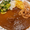 今日の盆栽