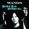 【シングル感想】『抱き寄せ 高まる 君の体温と共に』　WANDS