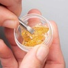 The Rise of Live Resin in Canada: A Growing Trend