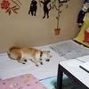 昨日の事だけど・・😁