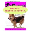 3/20(祝・金)【解決しました！】迷子犬