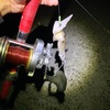 クエ釣りに行くが。。。
