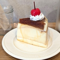 世田谷のおしゃれなチーズケーキのお店「ホリデーチーズケーキ」でプリンチーズケーキを食べてみた