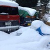 さすがにこの雪風は苦しい。屋外テント焙煎豆屋は中止！させてください。