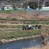 チャリで多摩川河口まで行って帰ってきた。