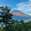 第７７回、富士登山競走
