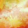 秋のメディテーション🌾 Yogaとキールタン