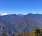 七面山雨畑参道ルート登山！熊出没と希望峰、御神木、登山道詳細！