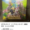 ポケカ メルカリ イーブイヒーローズシュリンク付きを偽物かもしれないので質問してみた→○○○○・・・・は？