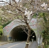 川間トンネル【横須賀トンネル探訪】