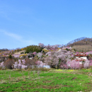 ふたりの桃源郷 / 佐々木聰