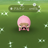グルトンの色違いがキタァー！！！