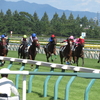 新潟競馬 旅打ち　３　１年ぶりの新潟競馬場