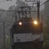 1095レ 鹿島貨物(EF64 1024)