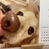 ナックリング。