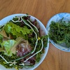 家庭菜園の野菜でサラダを作る。