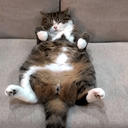 在宅介護　認知星人じーじ　介護実践録　～一日一笑～