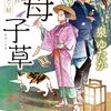 『母子草 お江戸縁切り帖』泉 ゆたか (著)のイラストブックレビューです