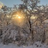 なぞなぞ⑤