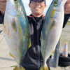 秋の伊勢湾ジギング、11月もベイトモリモリ！青物パラダイス!!