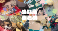 2025年11月ぬいぐるみお迎えとぬい活まとめ