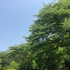 戸山公園は緑