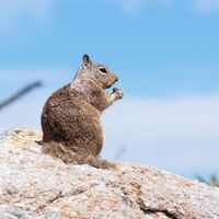 初心者向け シャキシャキの野菜 と英語で何という 食感の英語フレーズ ママは朝型ブロガー バイリンガル教育101 初心者向け シャキシャキの野菜 と英語で何という 食感の英語フレーズ ママは朝型ブロガー バイリンガル教育101