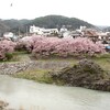 高遠城址公園の桜見物