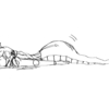 絵 記録【7月】