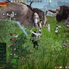 羽が付いたオオカミ【ナバン草原】【黒い砂漠】
