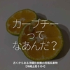 1541食目「カーブチーってなあんだ？」古くからある沖縄在来種の柑橘系果物【沖縄土産その4】