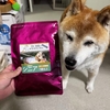 シニア犬の食欲低下に鹿肉ドッグフードが大ヒット！リンネちゃんの反応は？