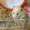 みそあん445日目