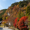 奈良県の紅葉スポット！洞川温泉の龍泉寺までバイクツーリング。