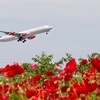 ＊Airbus340-313X(SK)